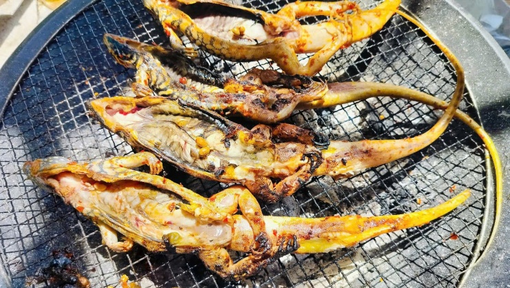 Dông là động vật thường xuyên vận động, có khả năng chạy thần tốc và biết leo cây. Thịt của chúng săn chắc, có vị ngọt tự nhiên