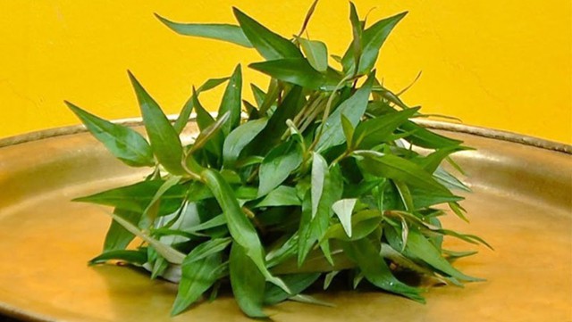 Chọn rau răm tươi ngon