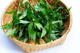 Rau răm tươi ngon