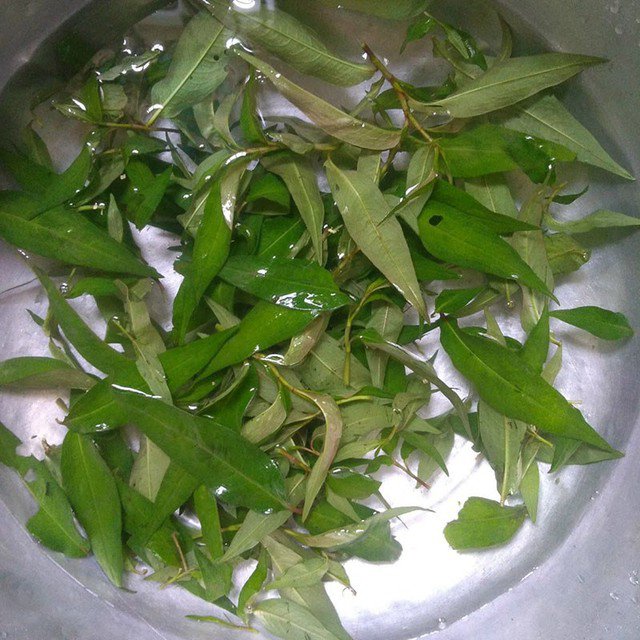 Không mua rau răm nếu lá đã bị dập hoặc héo.