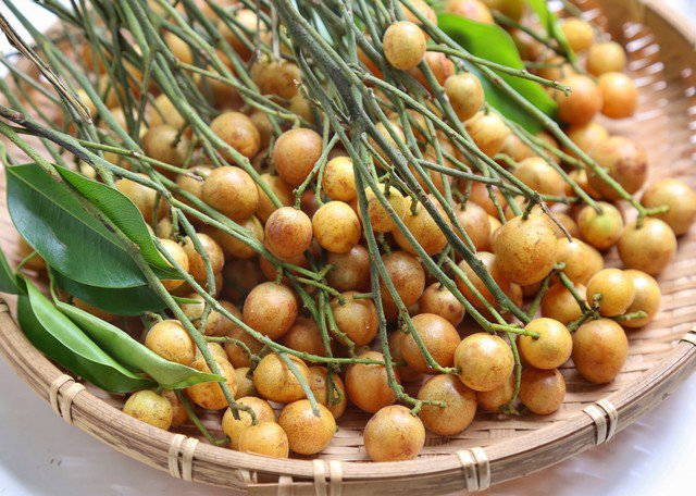 Quả quất hồng bì - Vua trái cây mùa hè, kết hợp hoàn hảo với cá - 1