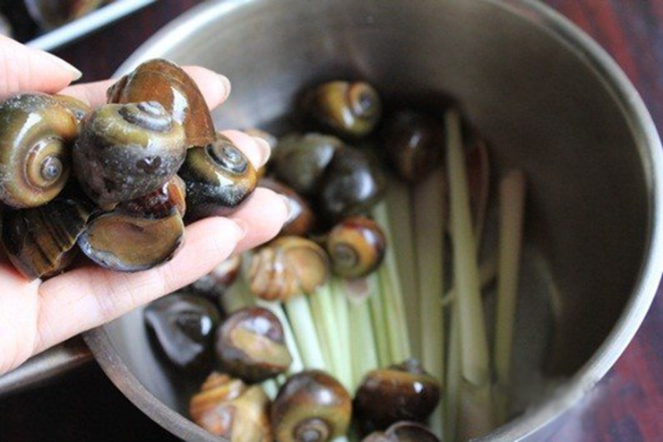 Luộc ốc phải nhớ ngay những điều này, ốc vừa sạch lại ngon giòn chuẩn vị nhà hàng - 1