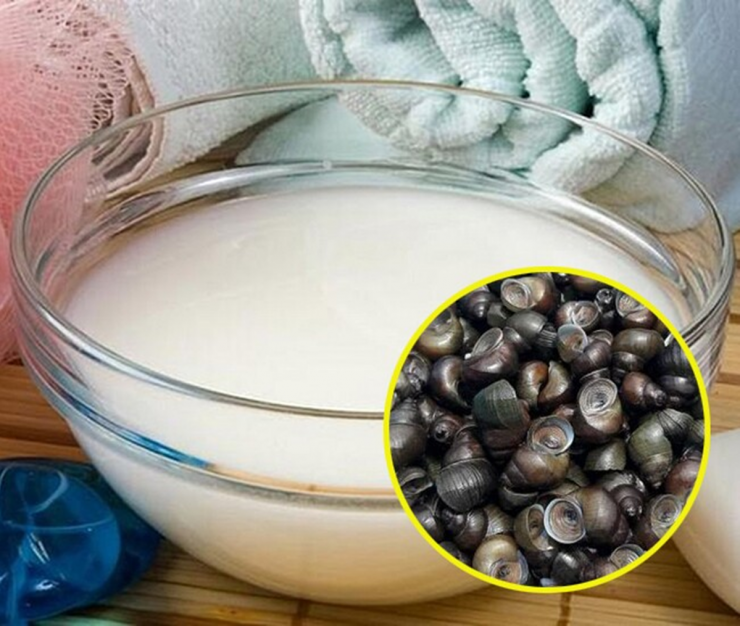 Luộc ốc phải nhớ ngay những điều này, ốc vừa sạch lại ngon giòn chuẩn vị nhà hàng - 2