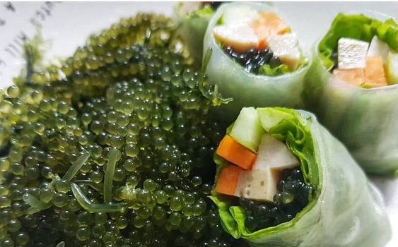 Rong nho - Siêu thực phẩm bảo vệ sức khỏe tim mạch