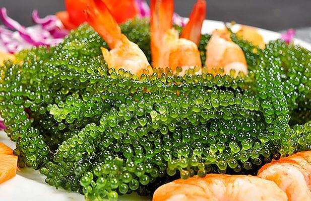 Cơm cuộn rong nho