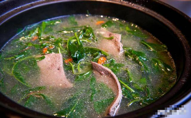 Khám Phá Loại Lá Quý Như Nhân Sâm Giúp Thải Độc Gan Và Cải Thiện Thị Lực - 7