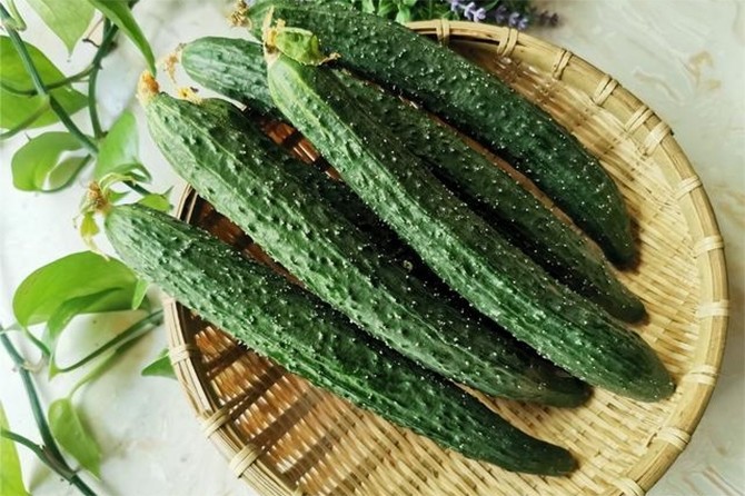 Những sai lầm khi tiêu thụ dưa chuột mà bạn có thể chưa biết - 1