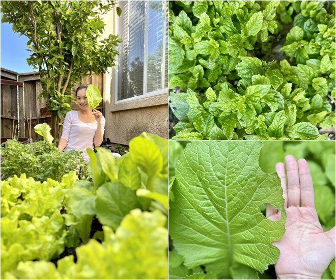 Mâm cơm Việt đơn giản nhưng đầy yêu thương của gia đình diễn viên nổi tiếng giữa nước ngoài - 3