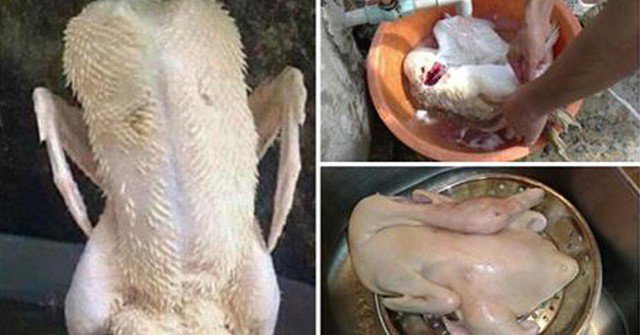 Rượu không chỉ giúp khử mùi tanh hiệu quả mà nó còn giúp bạn lấy đi toàn bộ lông măng 1 cách dễ dàng.