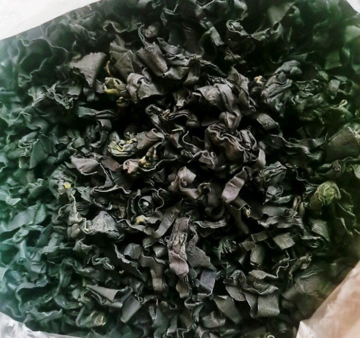 Những loại rau giàu canxi lý tưởng cho sức khỏe người cao tuổi và trẻ em - 1