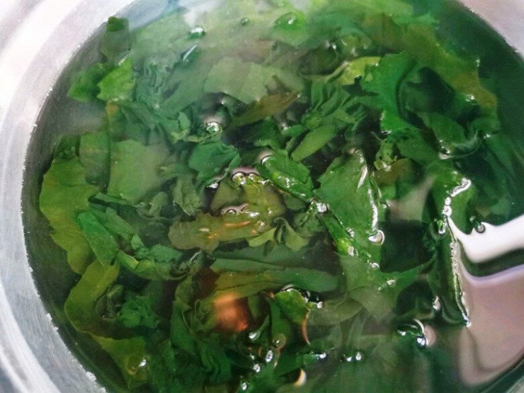 Những loại rau giàu canxi lý tưởng cho sức khỏe người cao tuổi và trẻ em - 3