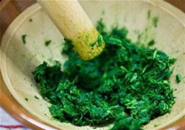 Rau ngổ giã nát có thể dùng đắp ngoài khi bị mụn nhọt, côn trùng cắn.