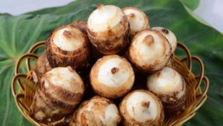 Củ Khoai Sọ: Nguồn Tinh Bột Kháng Rẻ Tiền Hỗ Trợ Kiểm Soát Đường Huyết - 2