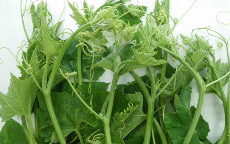 Món ăn bổ dưỡng giúp giảm viêm khớp dạng thấp với nhiều cách chế biến - 1