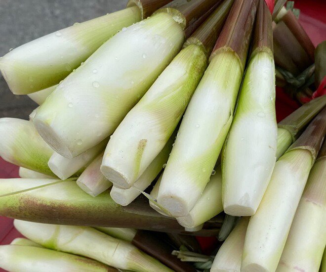 Củ Niễng - Đặc Sản Vùng Ninh Bình Với Hơn 10 Món Ngon Cho Bữa Cơm Gia Đình - 1