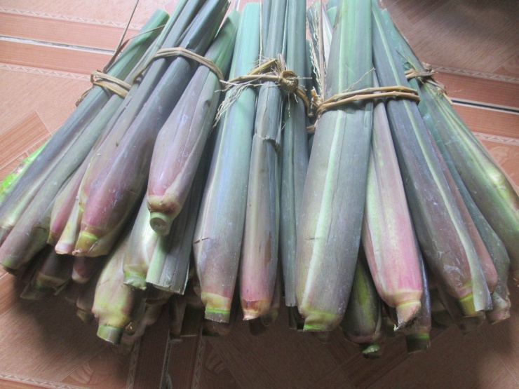 Củ Niễng - Đặc Sản Vùng Ninh Bình Với Hơn 10 Món Ngon Cho Bữa Cơm Gia Đình - 2