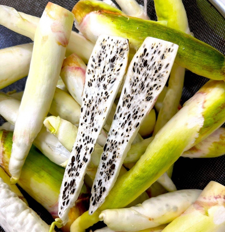 Củ Niễng - Đặc Sản Vùng Ninh Bình Với Hơn 10 Món Ngon Cho Bữa Cơm Gia Đình - 3