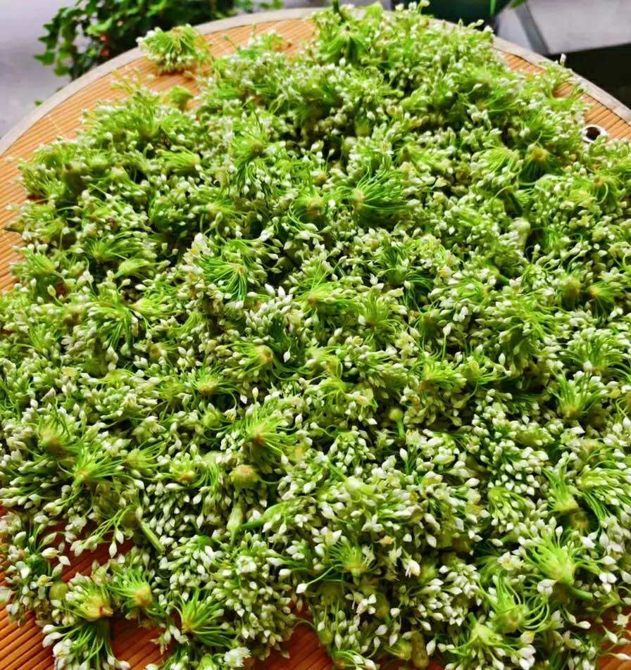 Mùa thu - Thời điểm lý tưởng để thưởng thức món ăn bổ dưỡng từ bông hẹ - 2