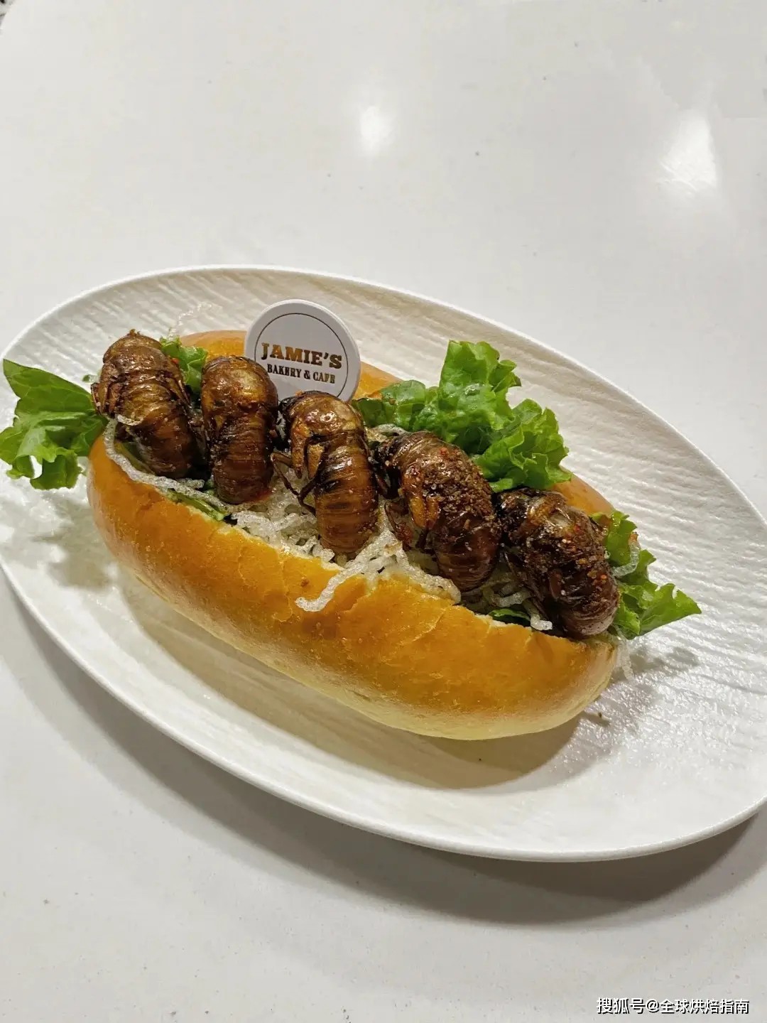 Bánh mì ve sầu