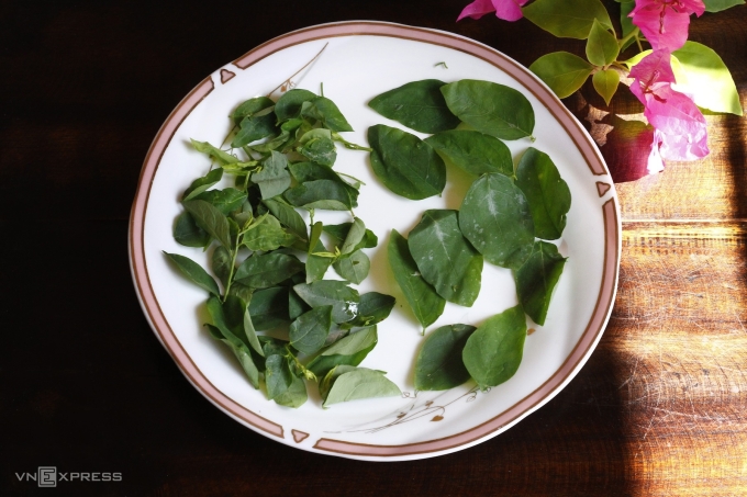 Rau ngót lá nhỏ, dày khi nấu ngon hơn. Ảnh: Bùi Thủy