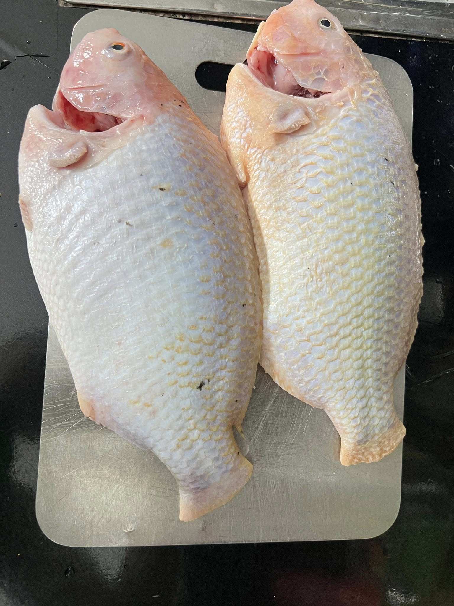 Sơ chế cá diêu hồng